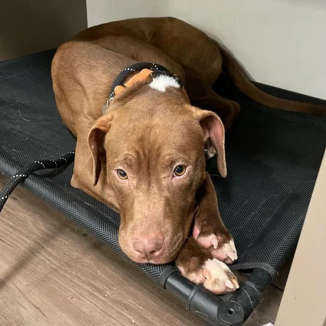 Kendrick thumbnail 2