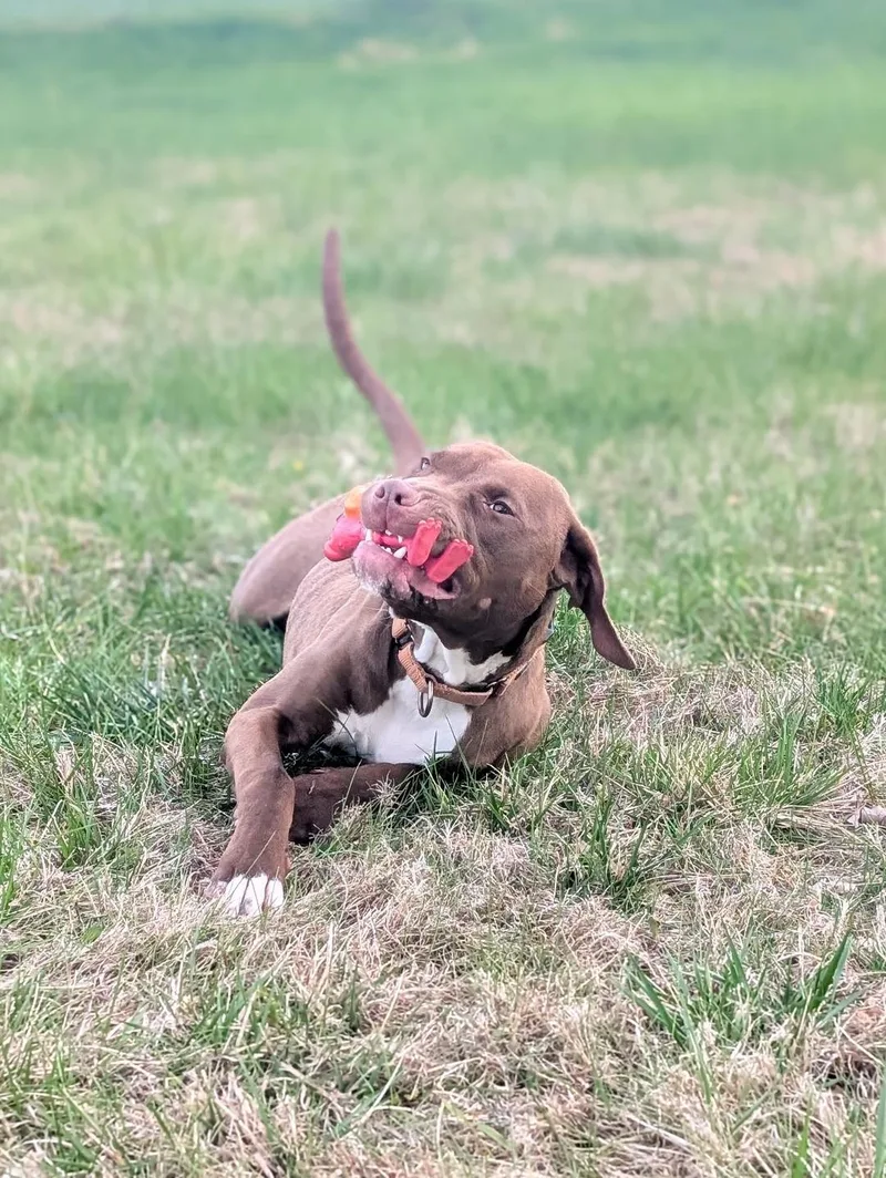 Kendrick thumbnail 3