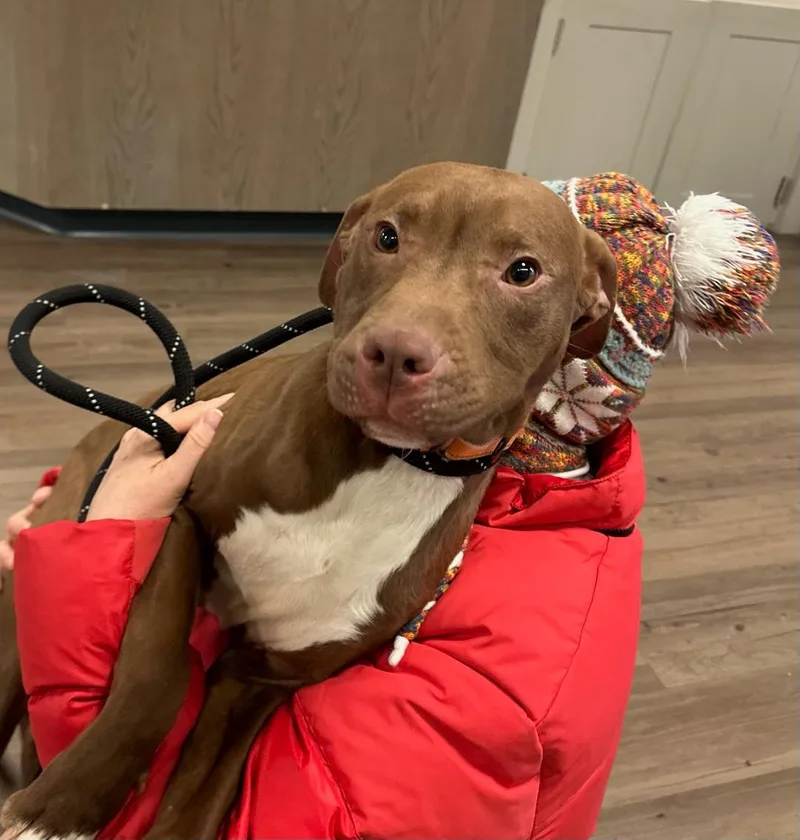 Kendrick thumbnail 5