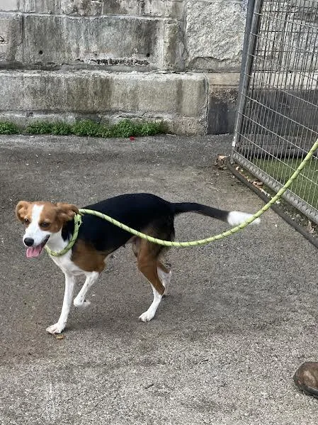 Kate Bush thumbnail 2