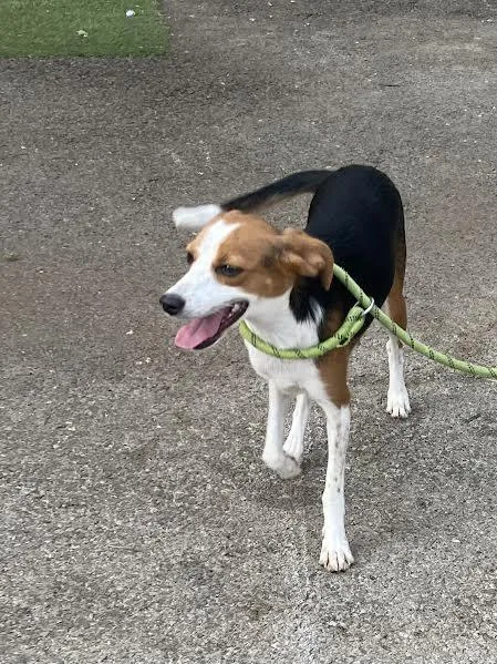 Kate Bush thumbnail 3