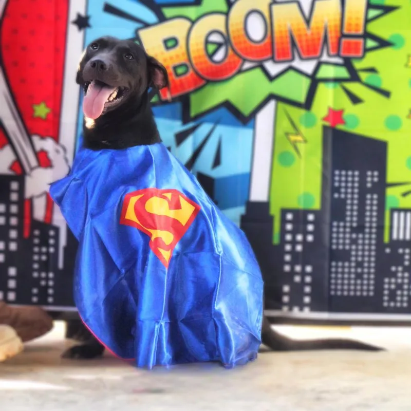 Flash Jum thumbnail 4