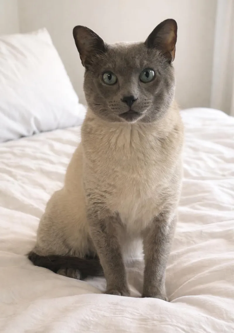 Maverick thumbnail 3