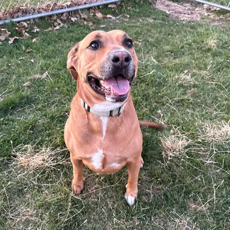 Butterbean thumbnail 2