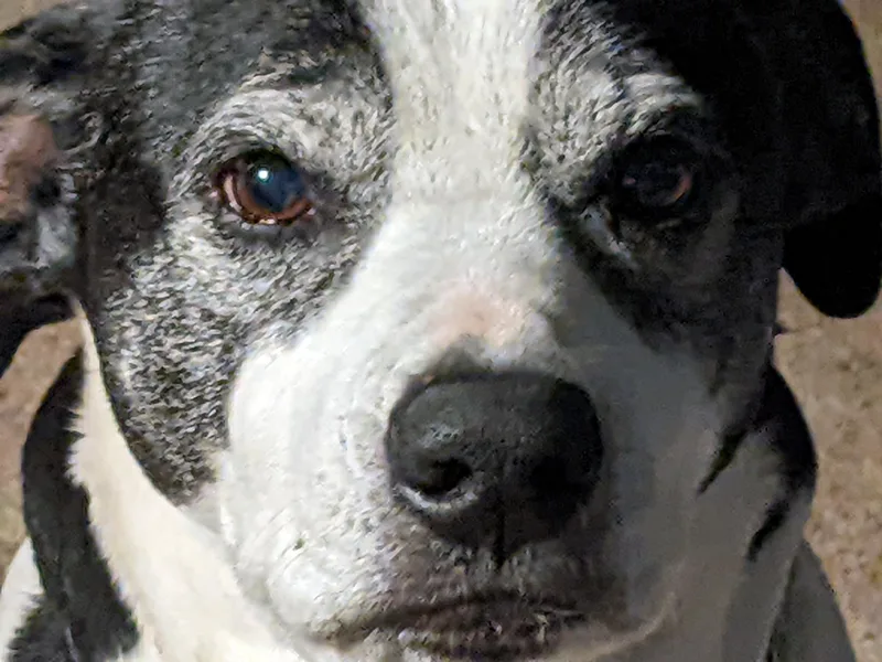 Maggie Jane thumbnail 2