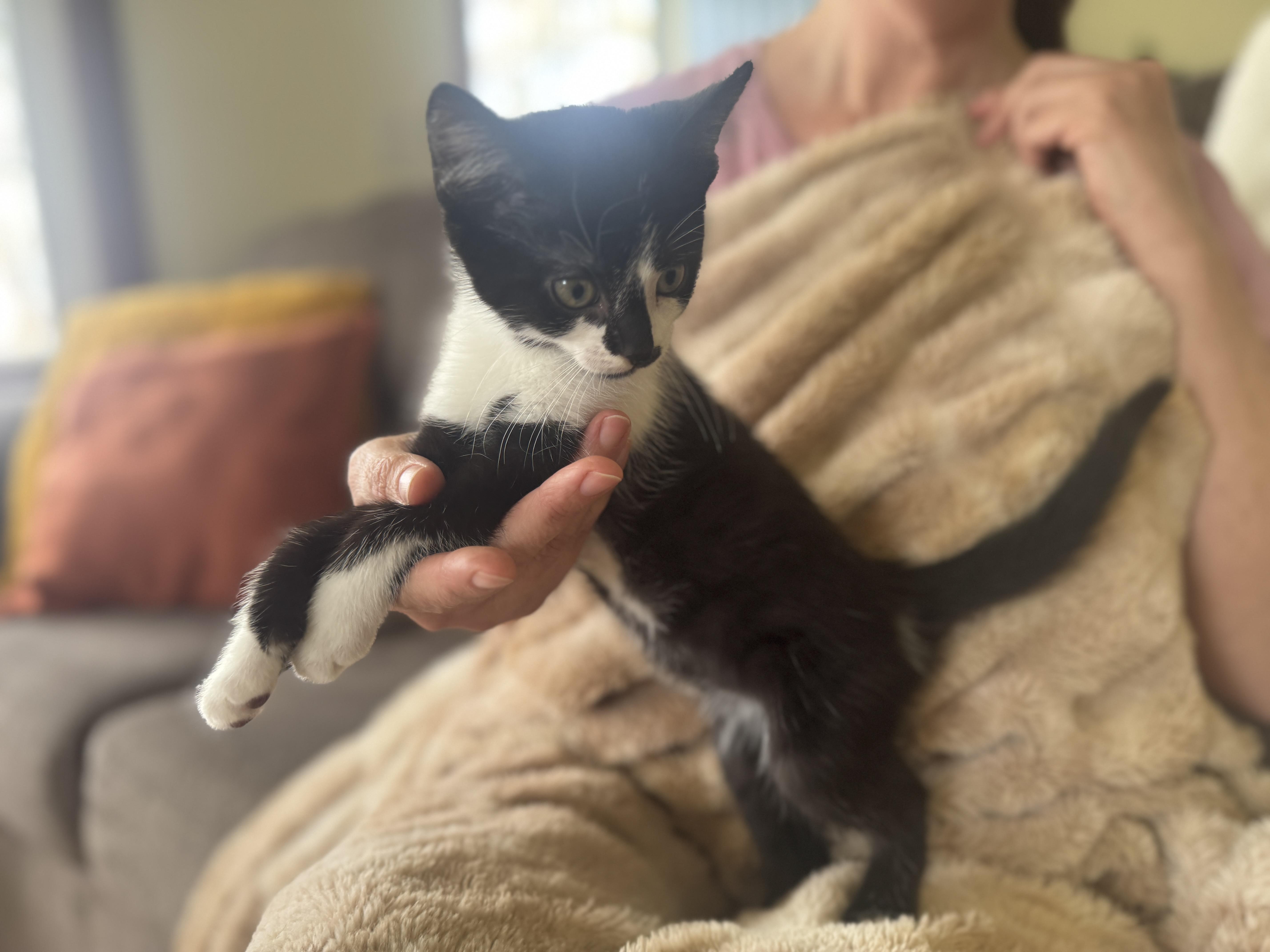 Solstice thumbnail 2