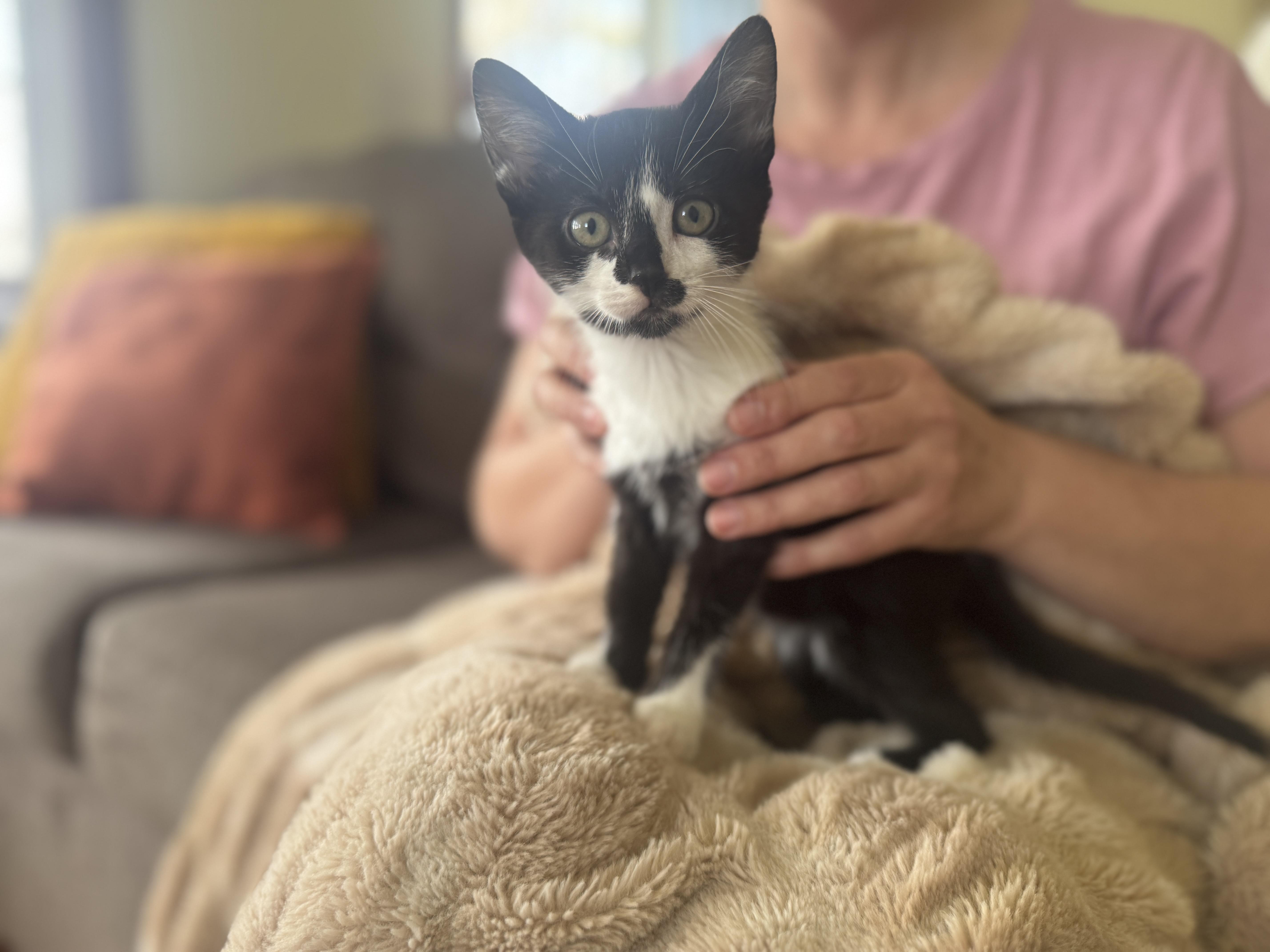 Solstice thumbnail 3