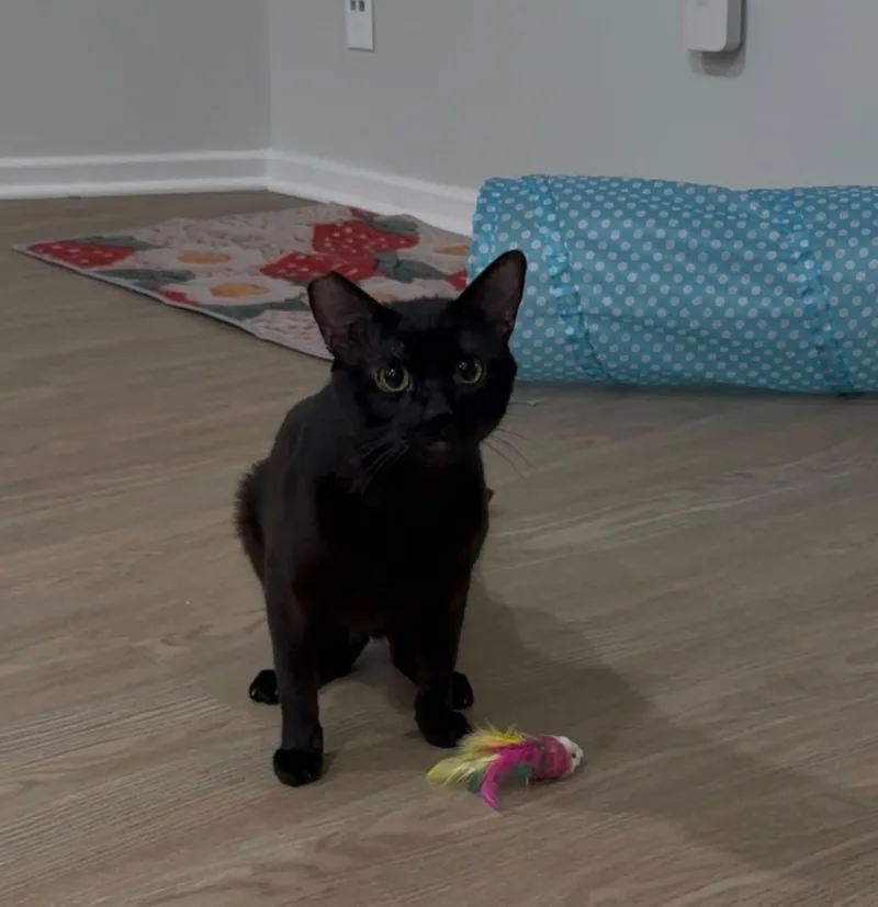 Hiro thumbnail 2