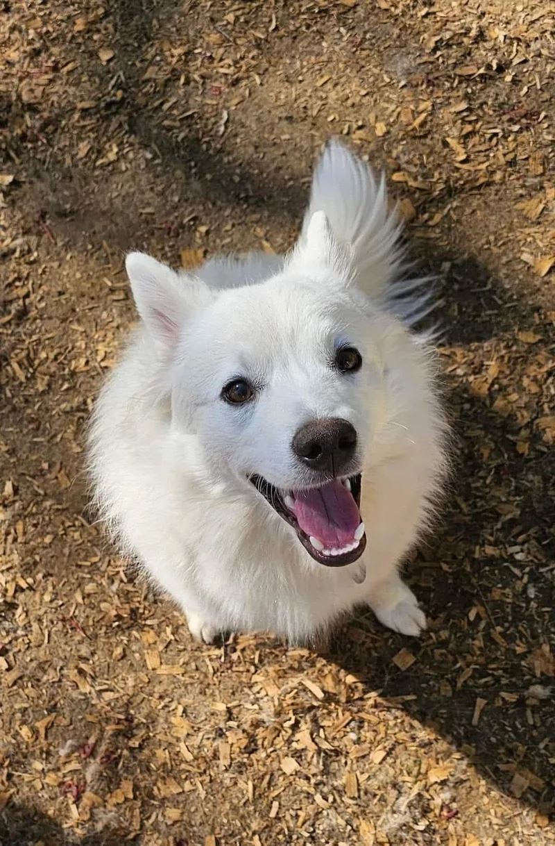 Fitz Aka Fitzy thumbnail 2