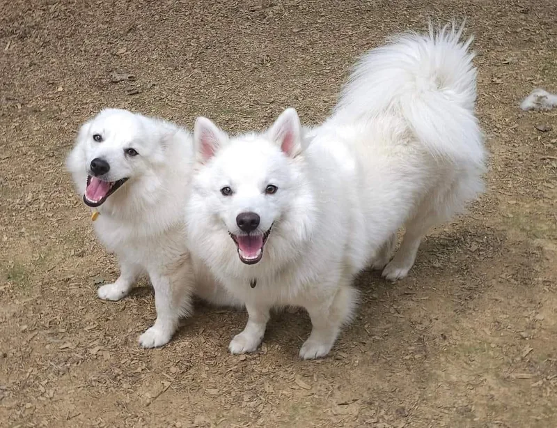 Fitz Aka Fitzy thumbnail 3