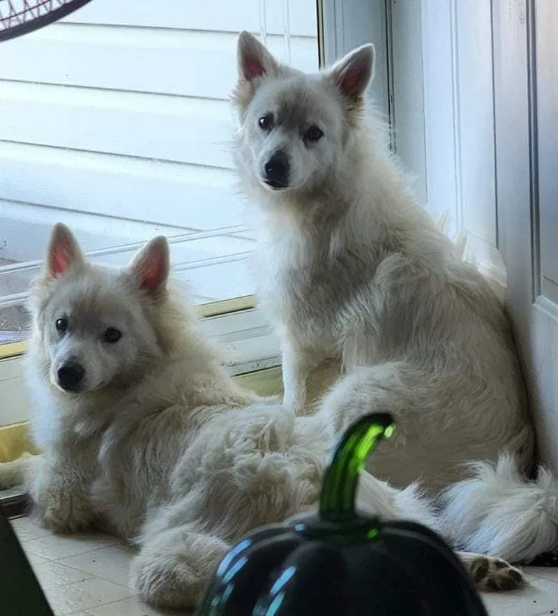 Fitz Aka Fitzy thumbnail 5