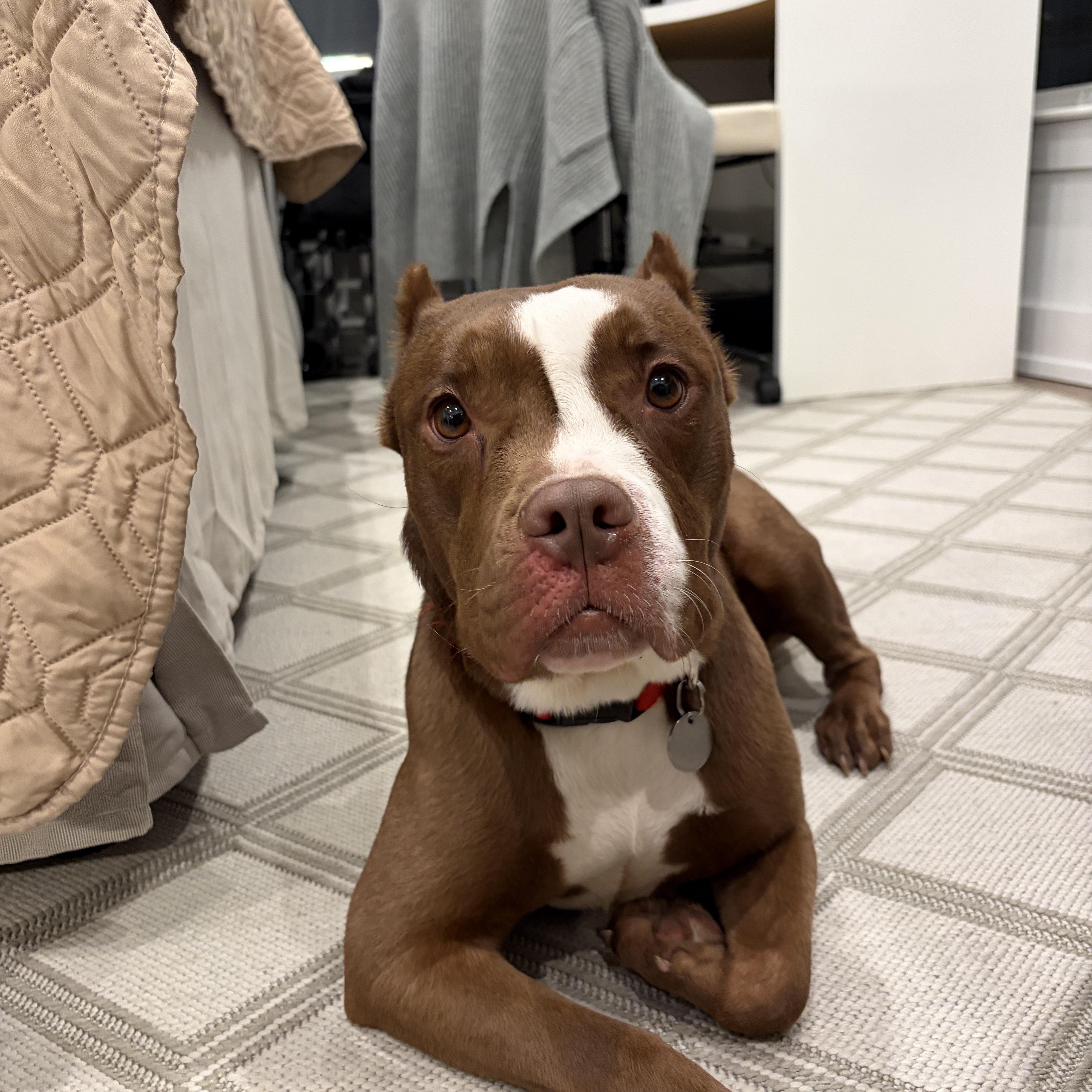 Laney Boggs thumbnail 2