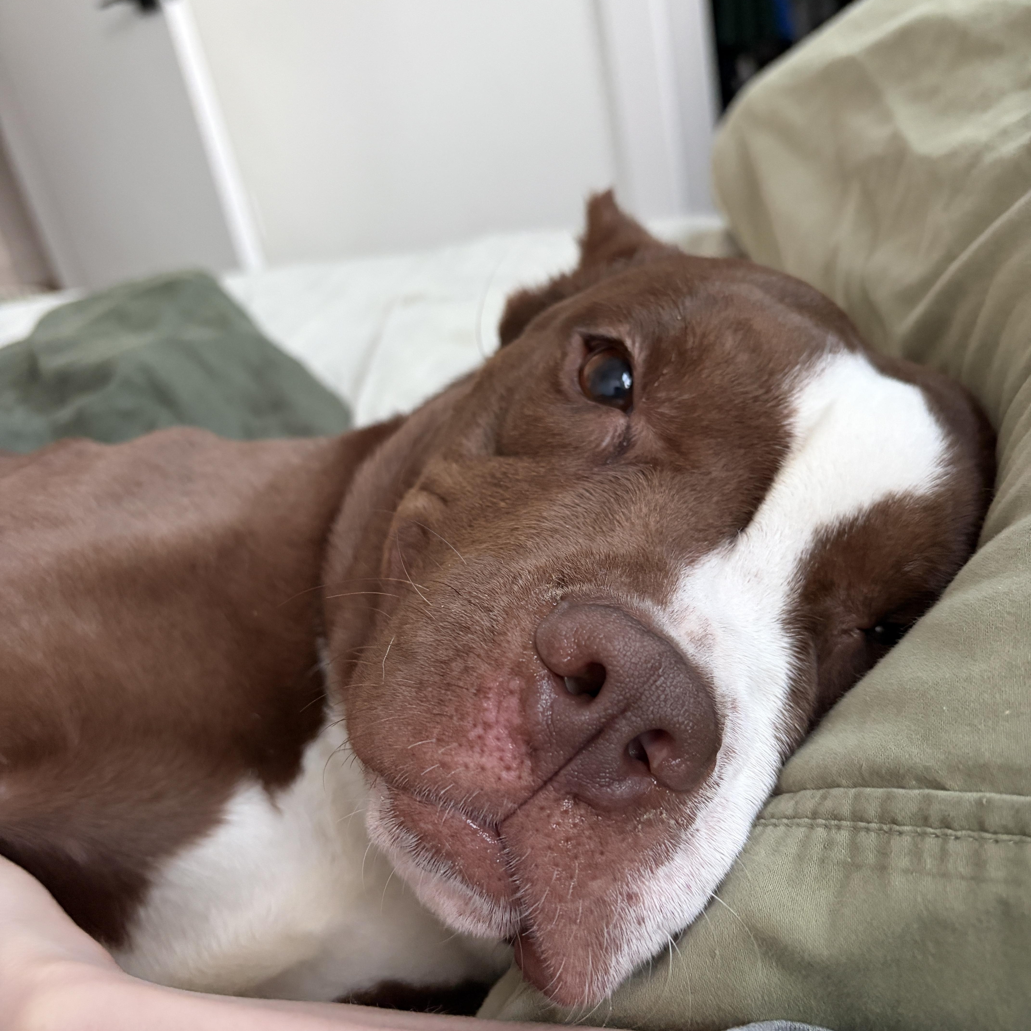 Laney Boggs thumbnail 3