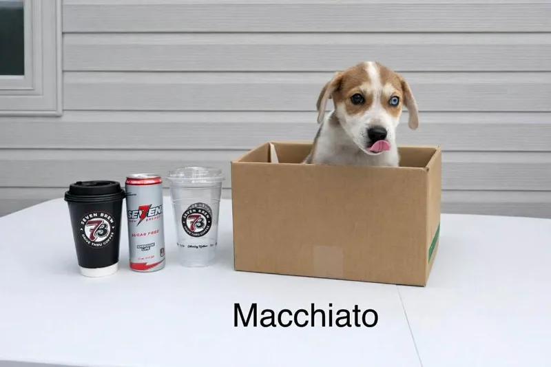 Macchiato thumbnail 2