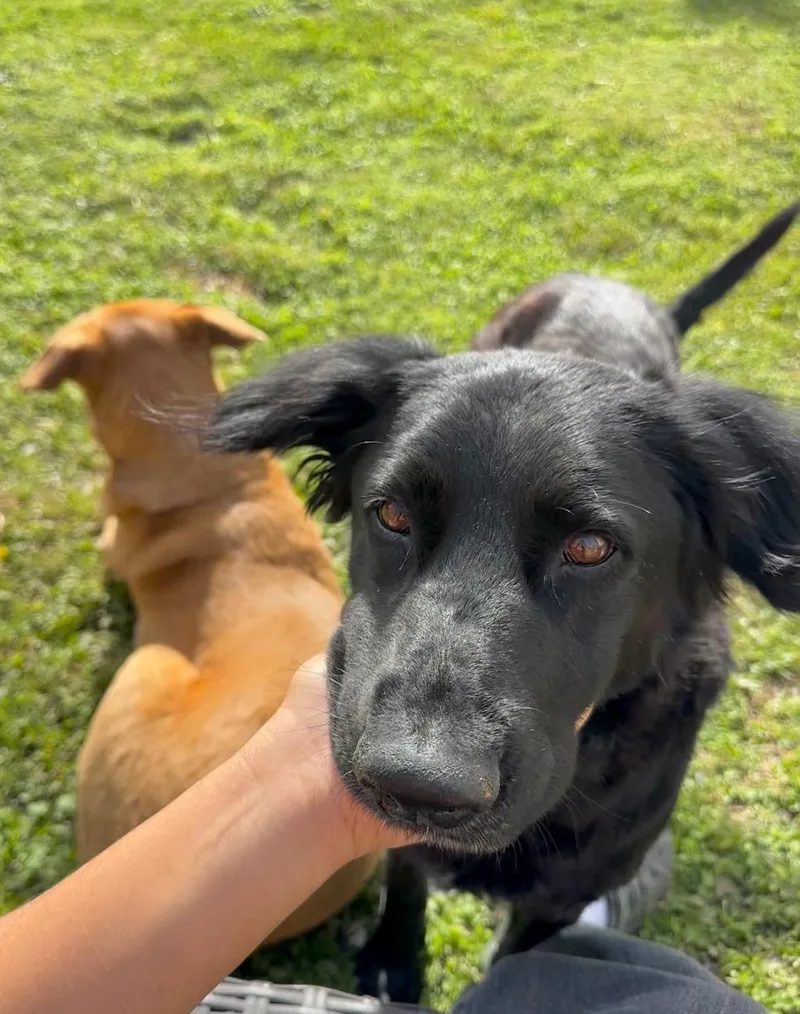 Lucy Lou thumbnail 2