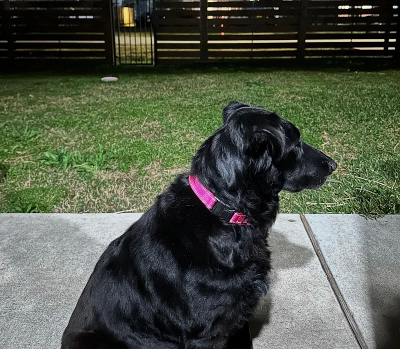 Lucy Lou thumbnail 4