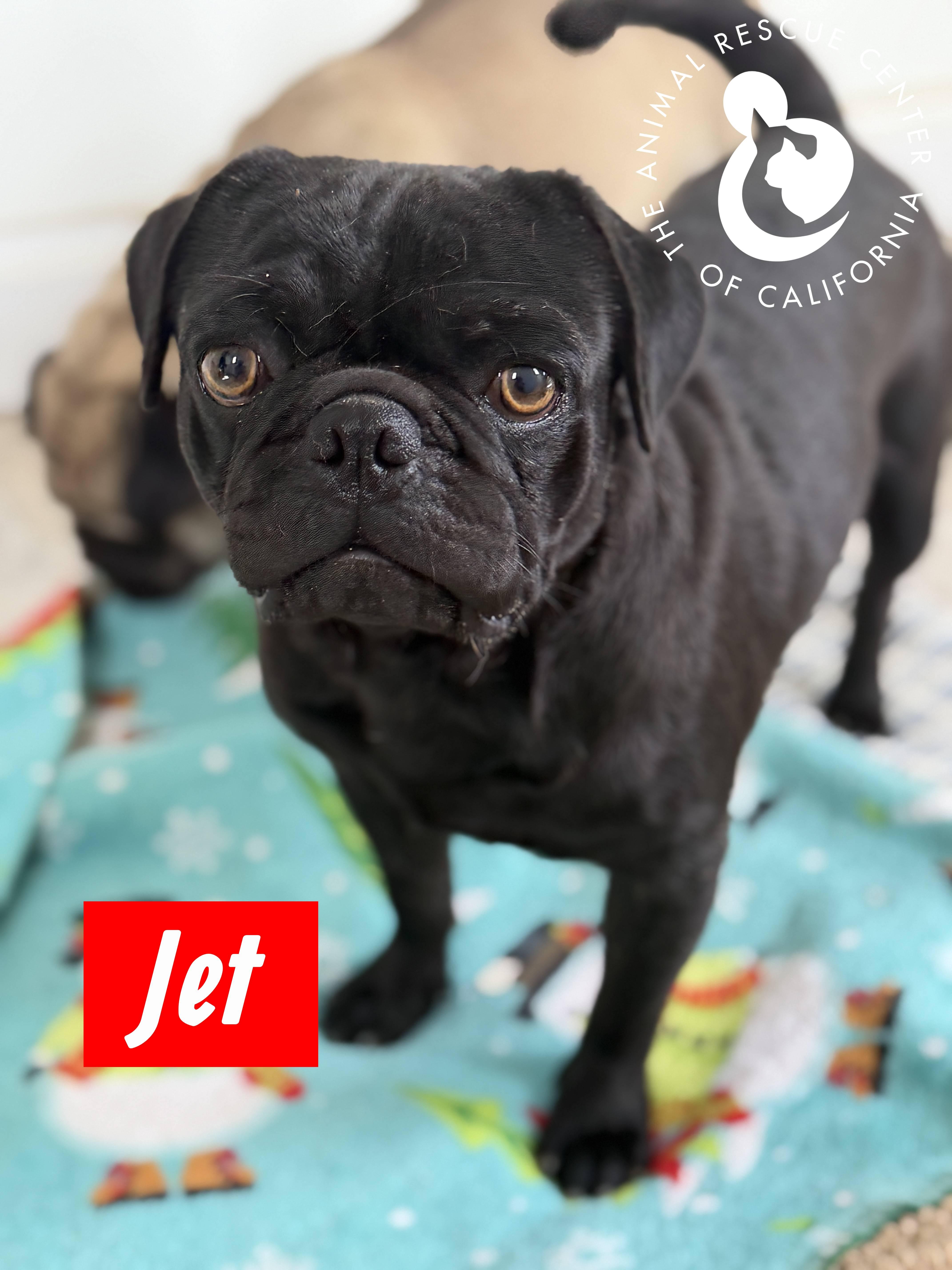 Jet thumbnail 3