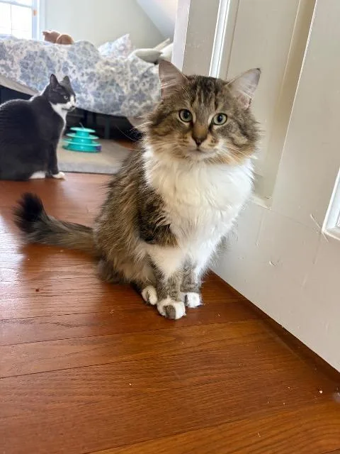 Professor Rj Lupin thumbnail 2