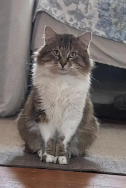 Professor Rj Lupin thumbnail 3