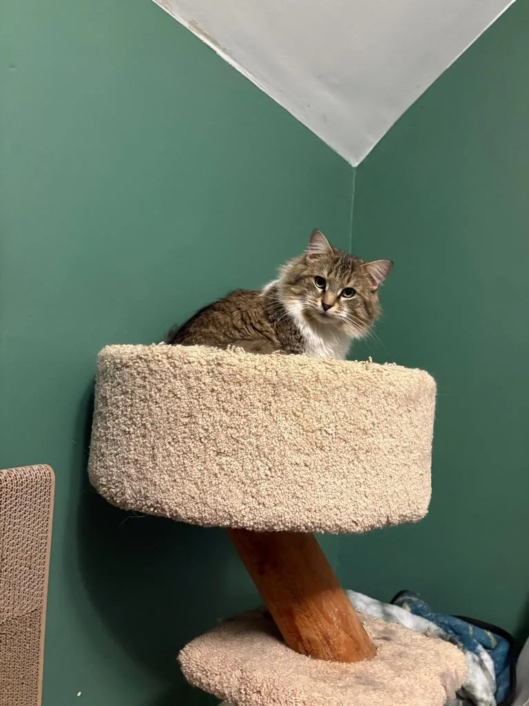 Professor Rj Lupin thumbnail 6