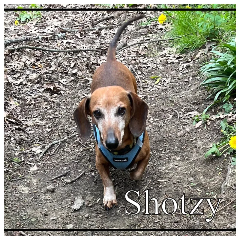 Greta & Shotzy thumbnail 2
