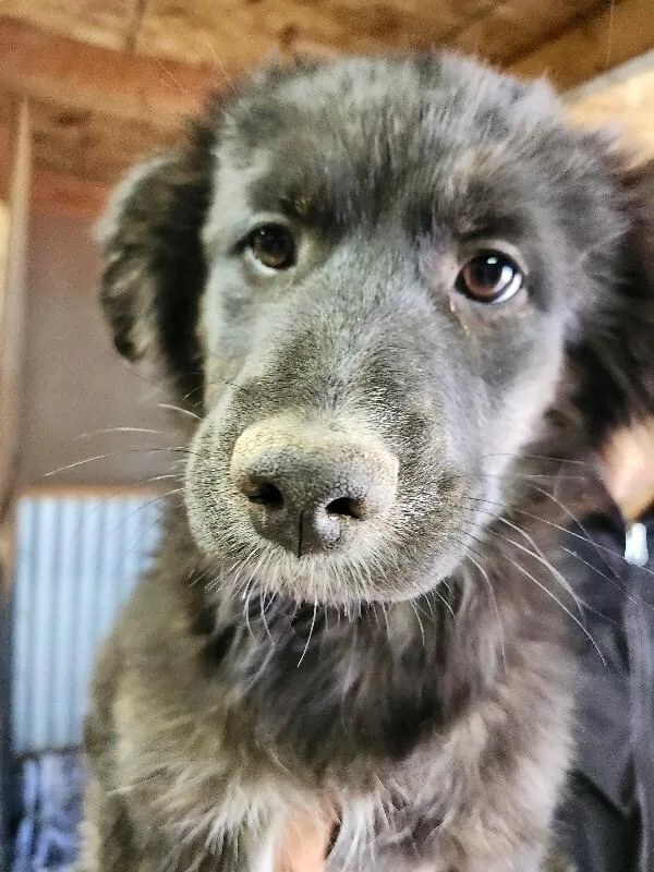 Nicolette thumbnail 2