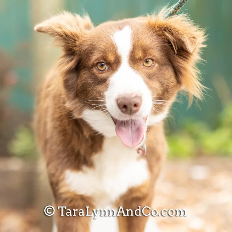 Felicity thumbnail 4