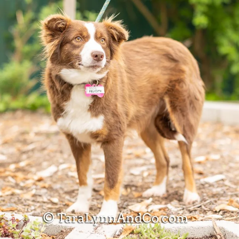 Felicity thumbnail 5