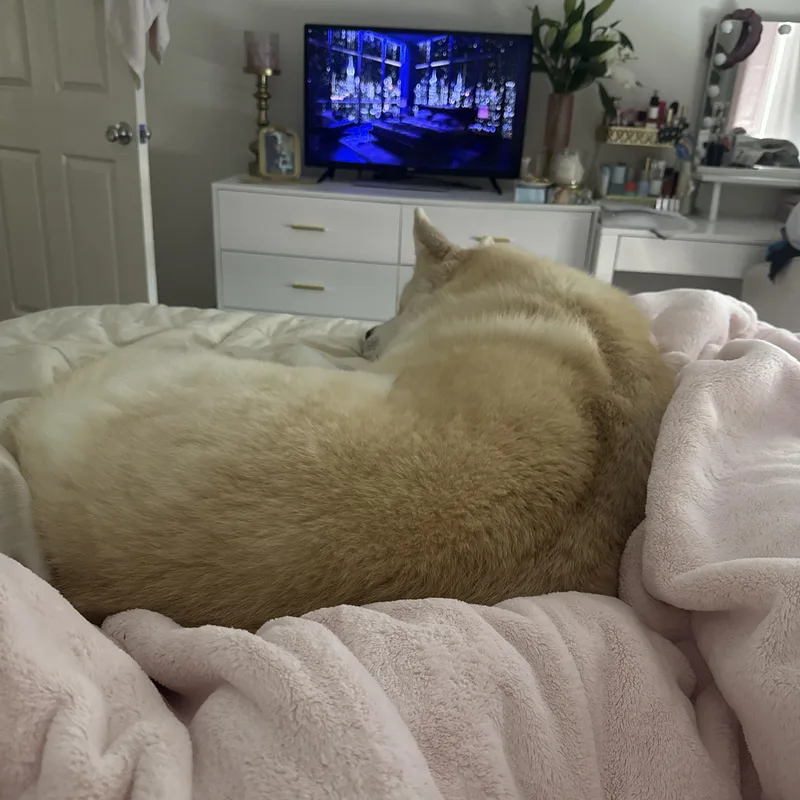 Frances Buckley thumbnail 2