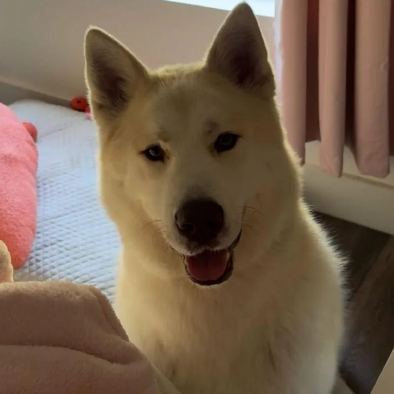 Frances Buckley thumbnail 3