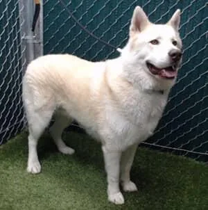 Frances Buckley thumbnail 4