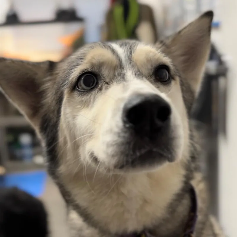 Alaska thumbnail 3