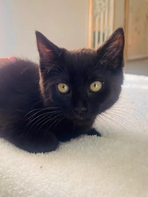 Brighton thumbnail 2