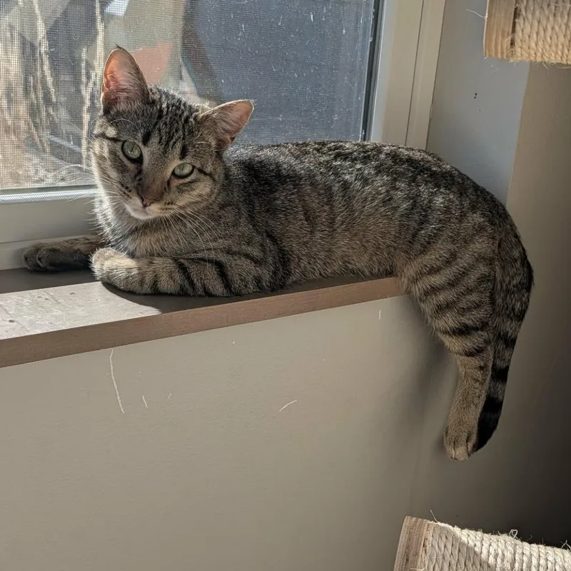 Sundance thumbnail 2