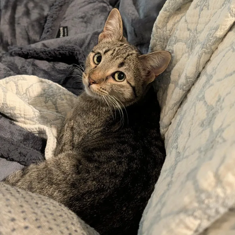 Sundance thumbnail 3