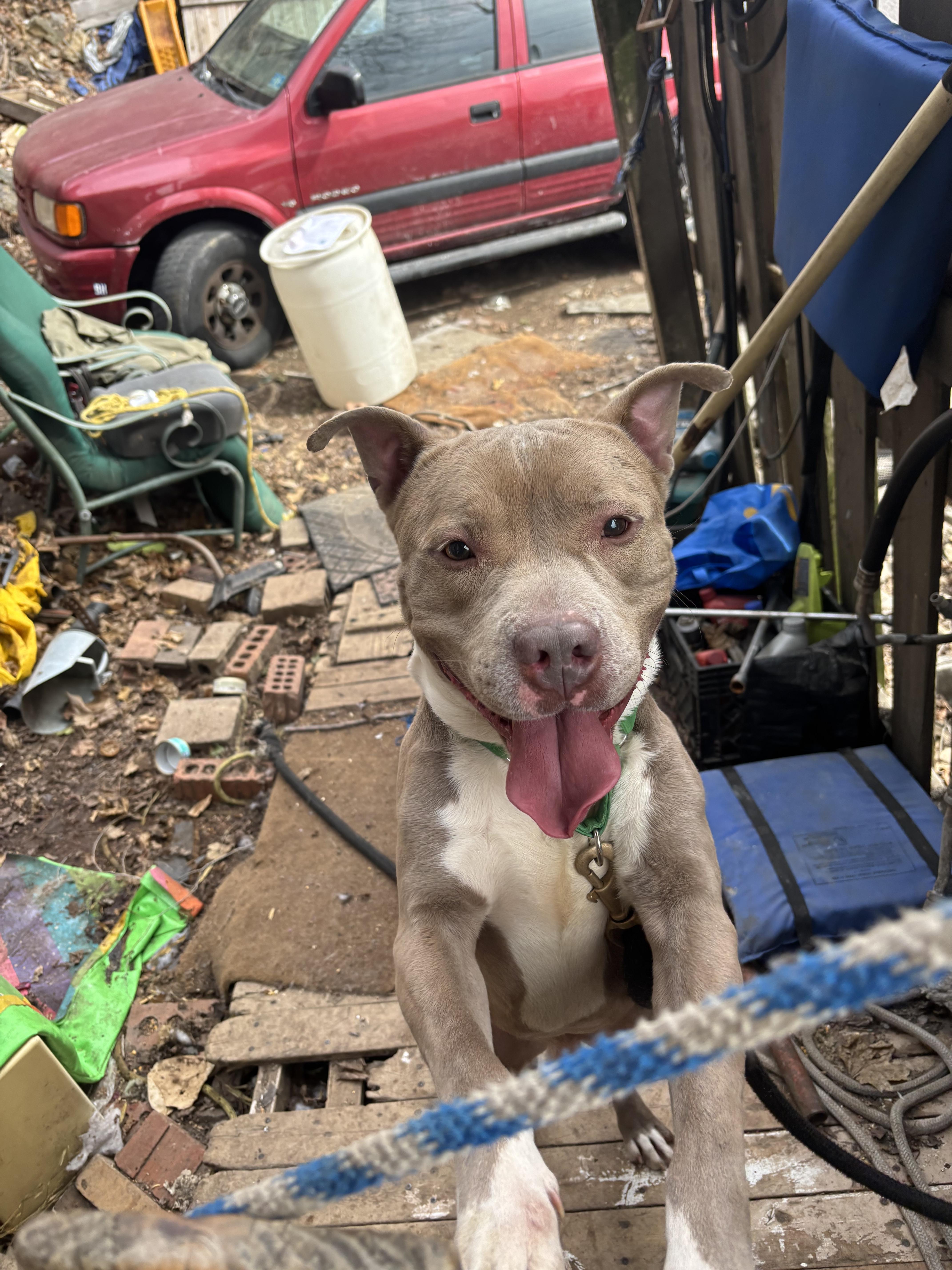 Swiss Roll thumbnail 3