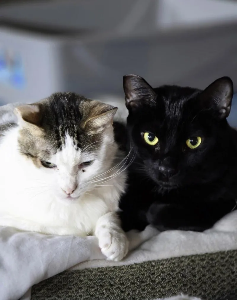 Wayne & Pennie thumbnail 2