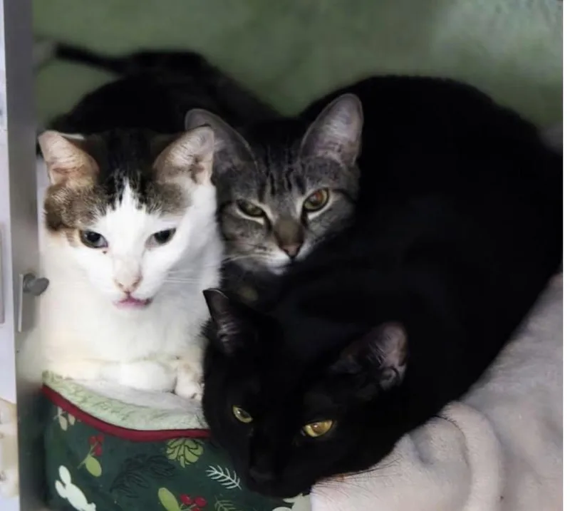 Wayne & Pennie thumbnail 3