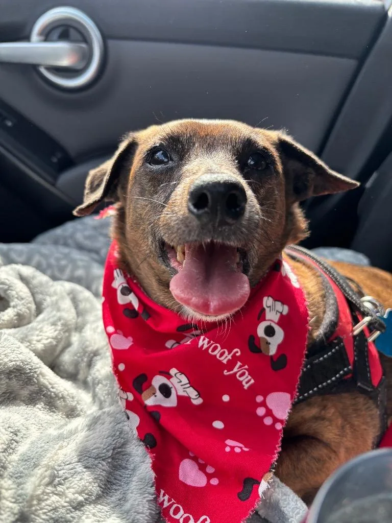 Hoppy Rubble thumbnail 3