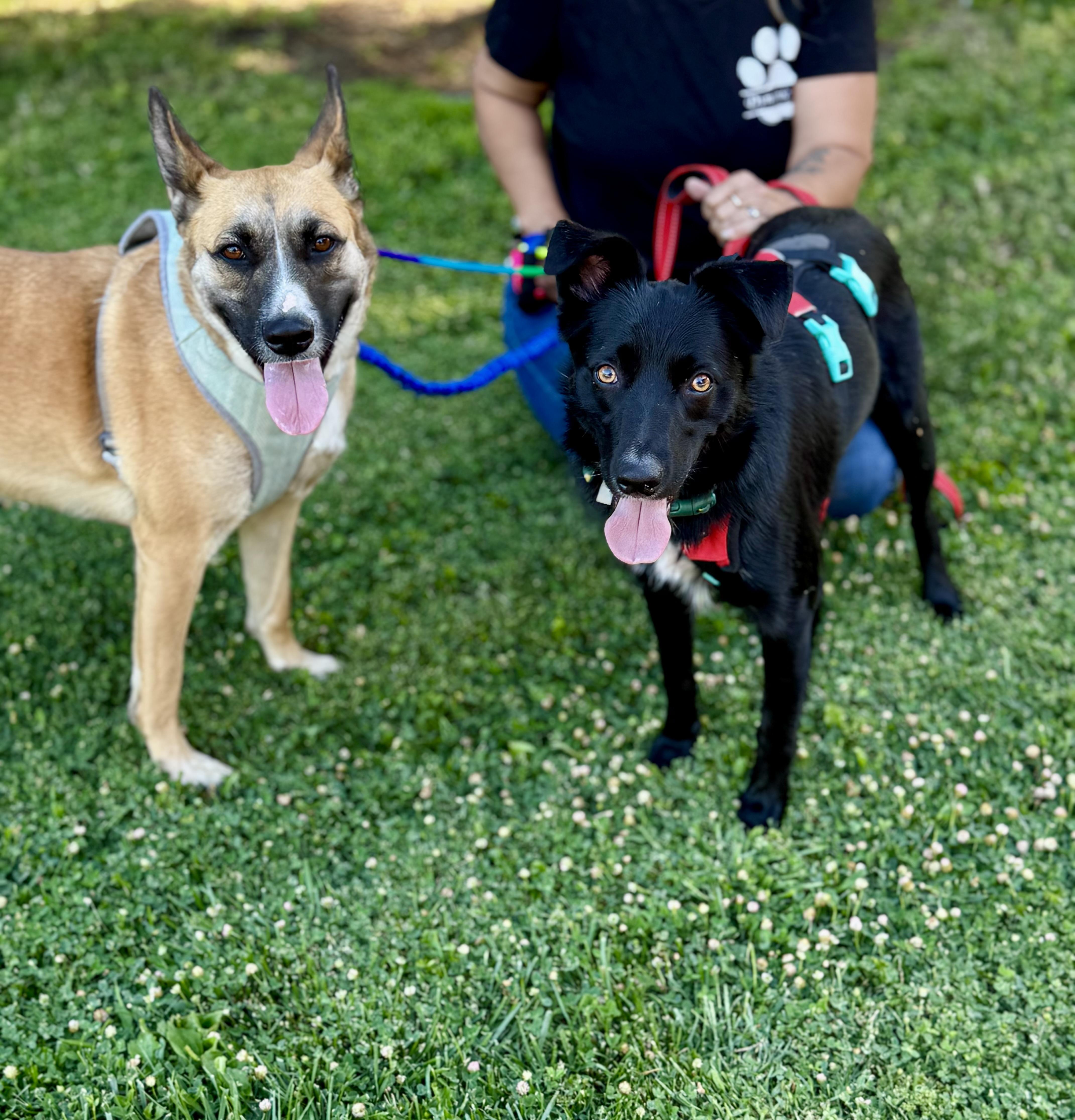 Riesling thumbnail 2