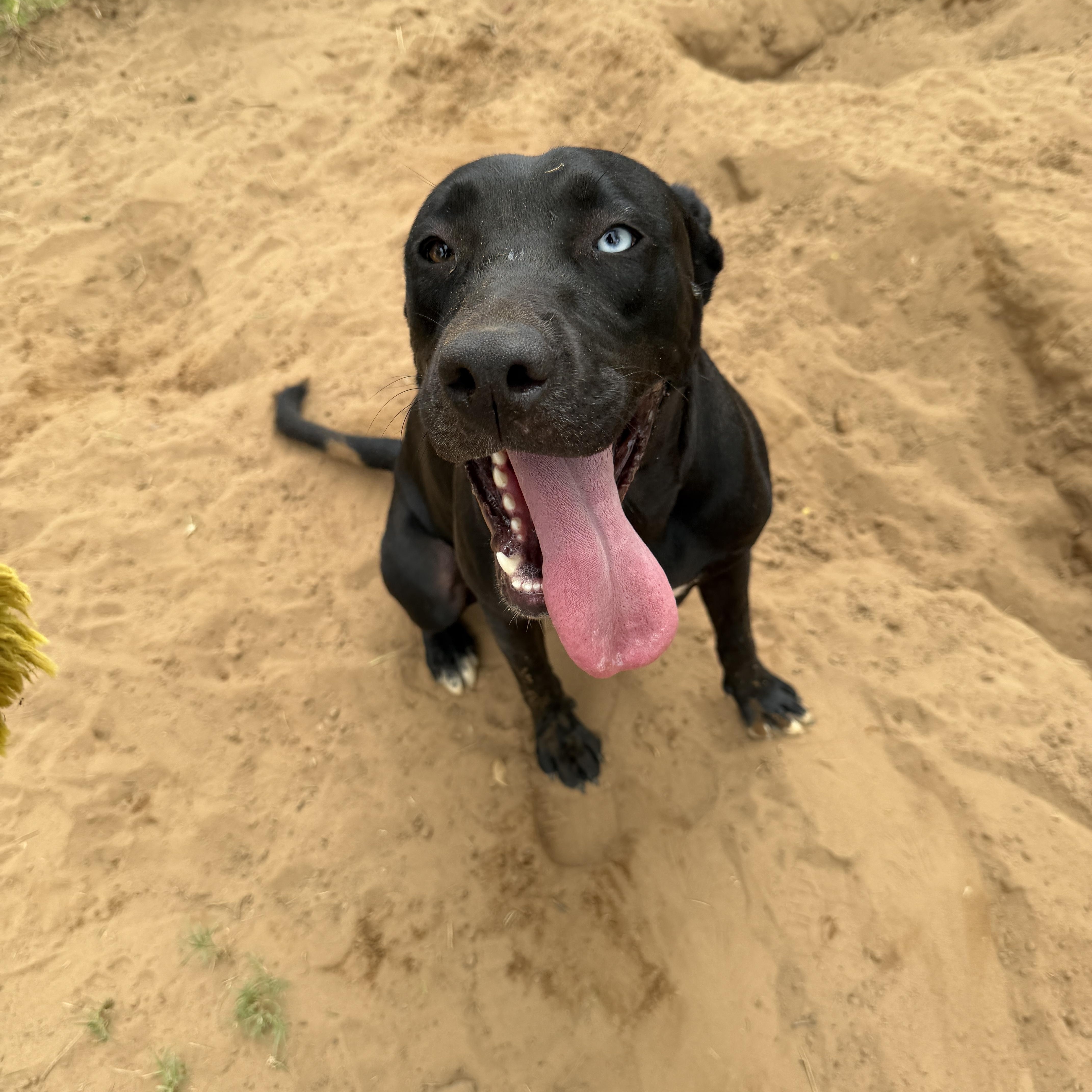 Buster thumbnail 3