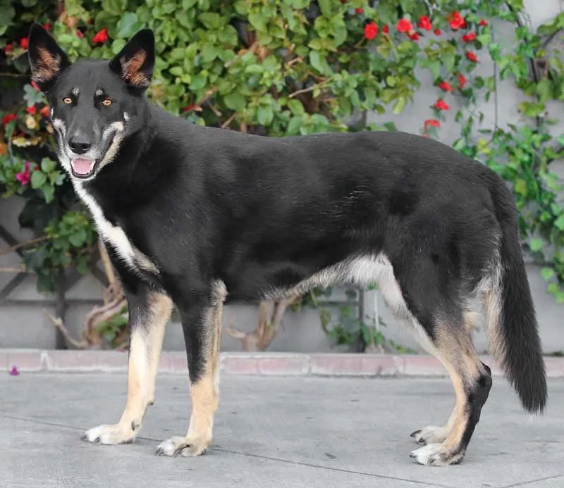 Sabrina Von Stauchitz thumbnail 2