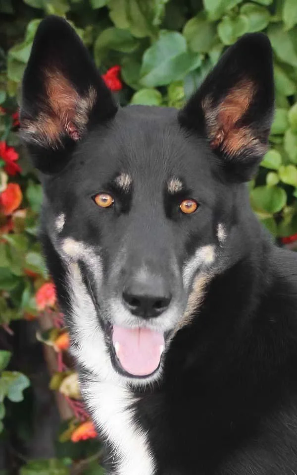 Sabrina Von Stauchitz