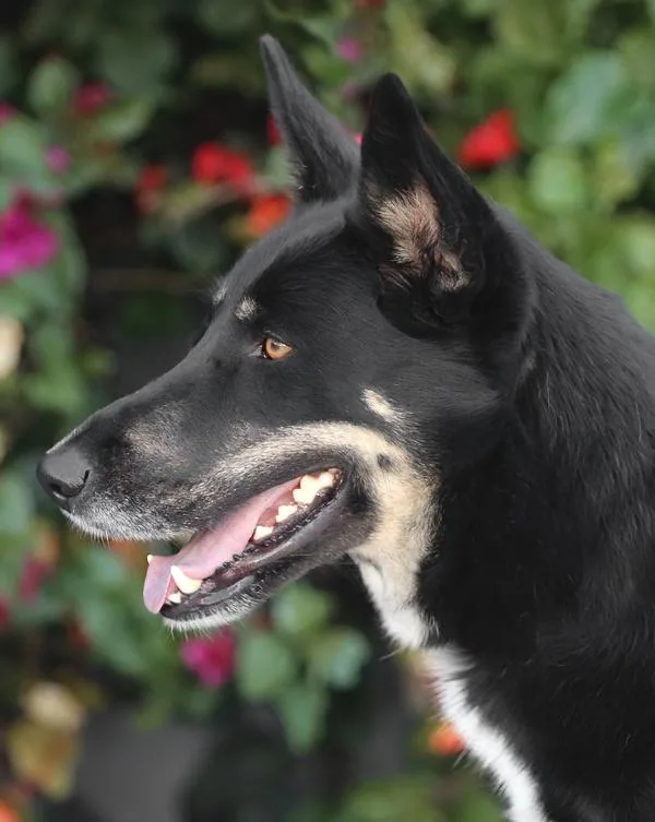 Sabrina Von Stauchitz thumbnail 4