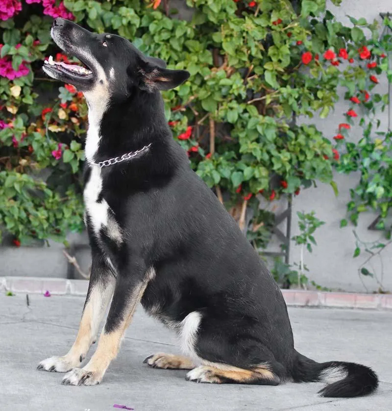 Sabrina Von Stauchitz thumbnail 5