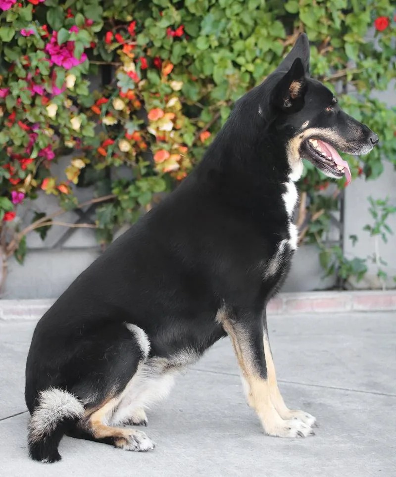 Sabrina Von Stauchitz thumbnail 6