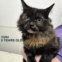 Yuki