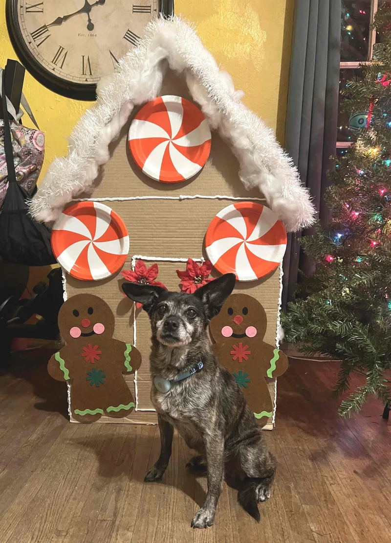 Princess thumbnail 2