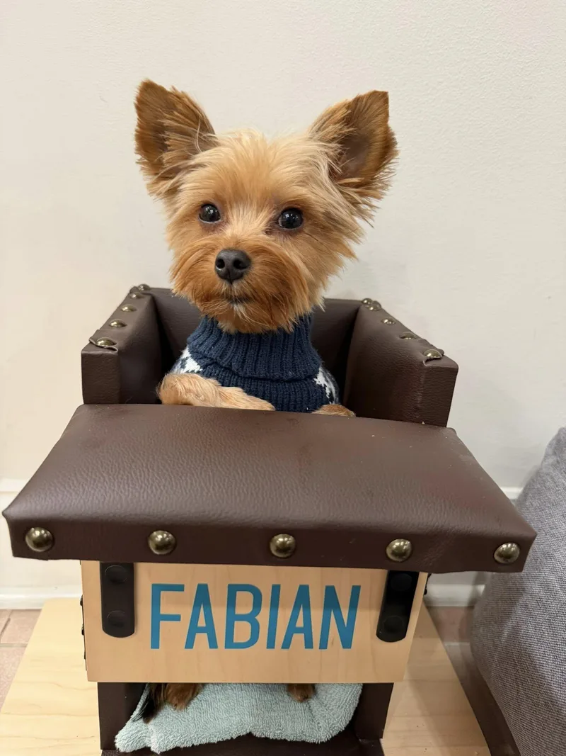 Fabian thumbnail 5