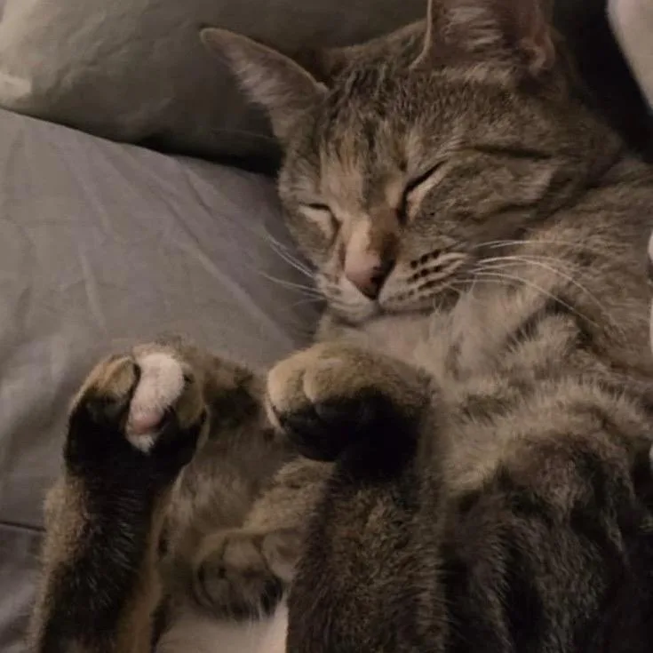 Pebbles thumbnail 3